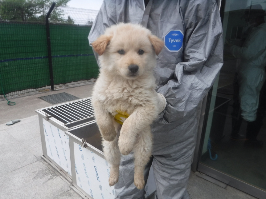 제주 동물보호센터_450650202301280