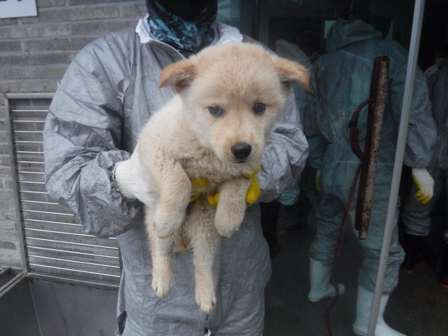 제주 동물보호센터_450650202301282