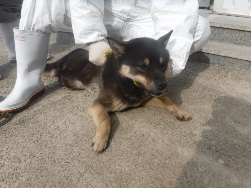 제주 동물보호센터_450650202301284