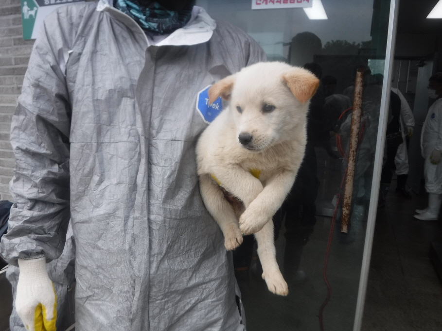 제주 동물보호센터_450650202301278