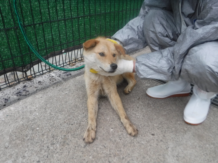 제주 동물보호센터_450650202301283