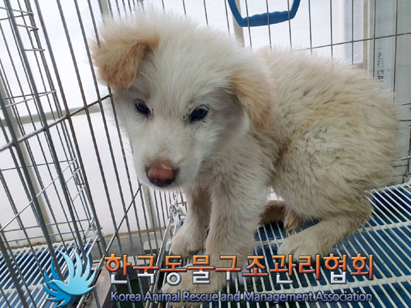 한국동물구조관리협회_411310202300144