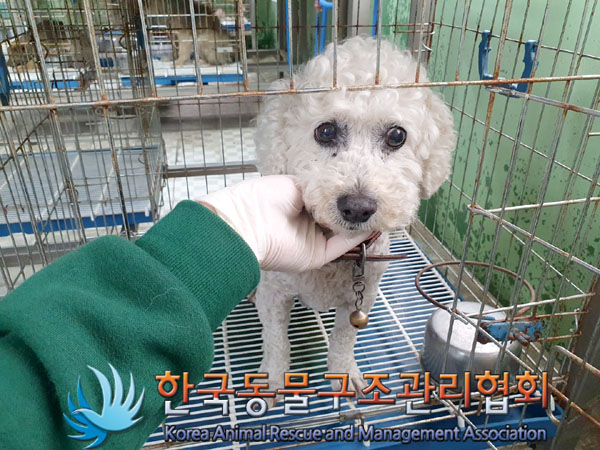한국동물구조관리협회_441559202300327