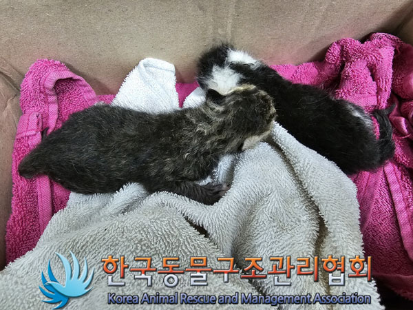종료(자연사) 한국…