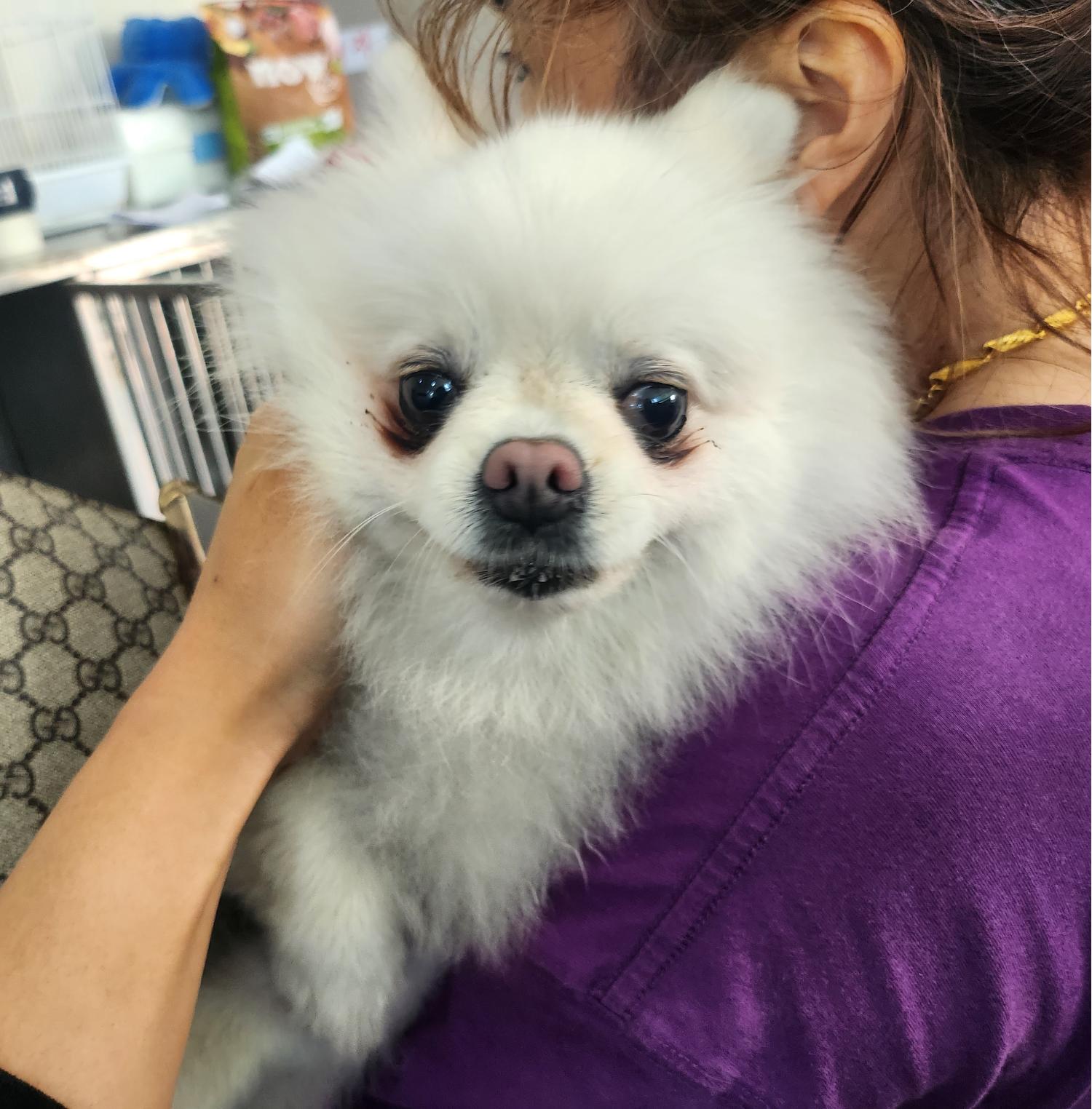광주 동물보호소_429363202300238