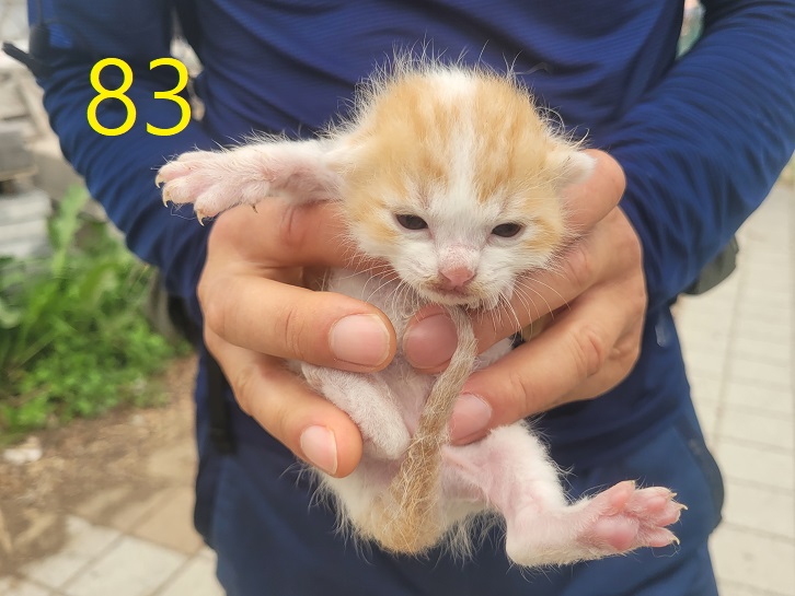 신영재동물병원_428355202300125