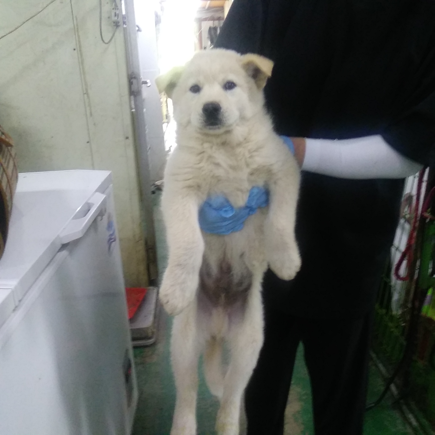 인천광역시수의사회_428353202300522