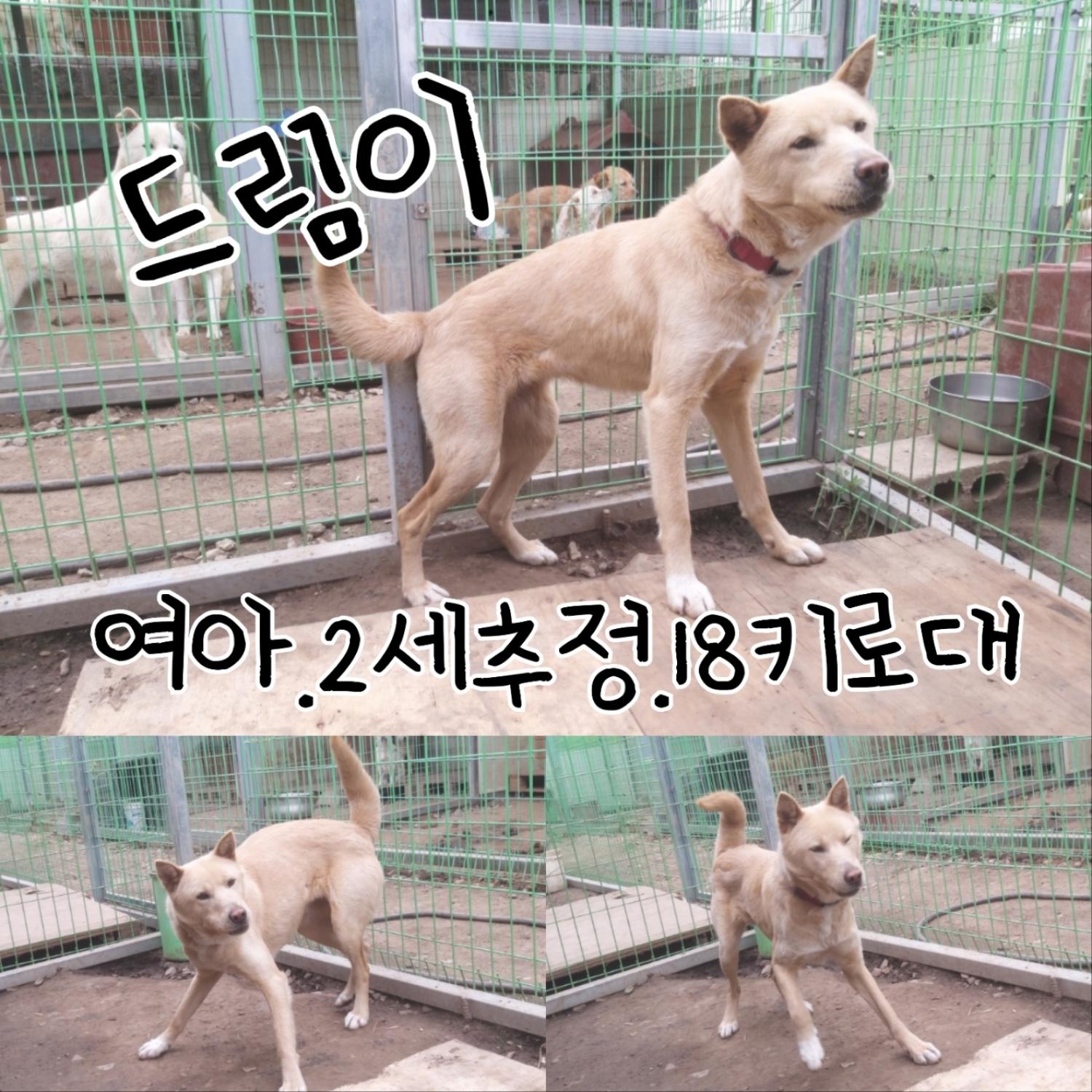 장성군동물보호센터_446498202300173