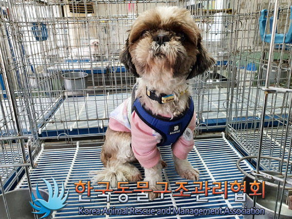 한국동물구조관리협회_411306202300264