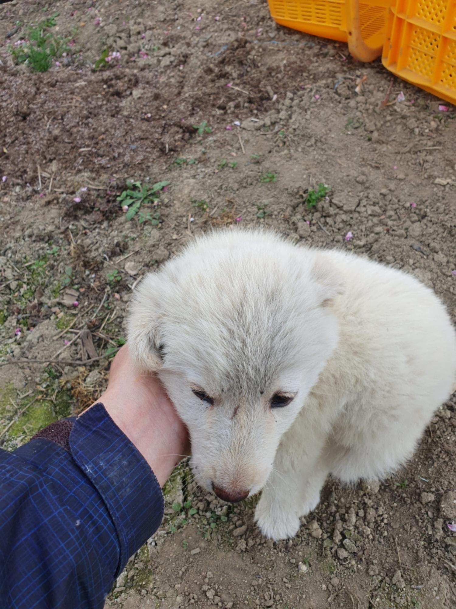 최종주동물병원_443444202300213