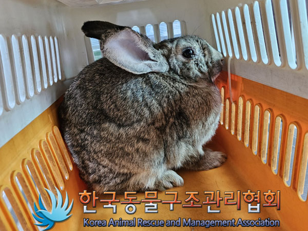 한국동물구조관리협회_411322202300257