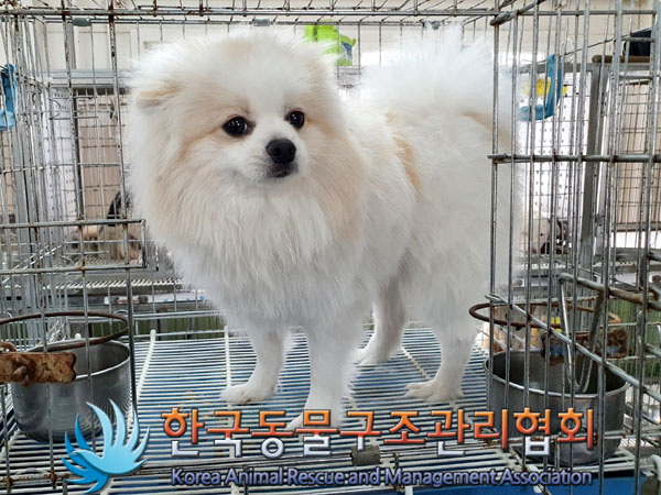 한국동물구조관리협회_441560202300362