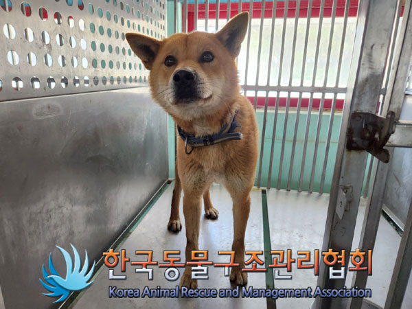 한국동물구조관리협회_441409202300569