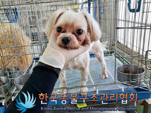 한국동물구조관리협회_441392202300052