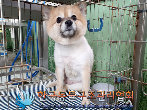 한국동물구조관리협회_441398202300124
