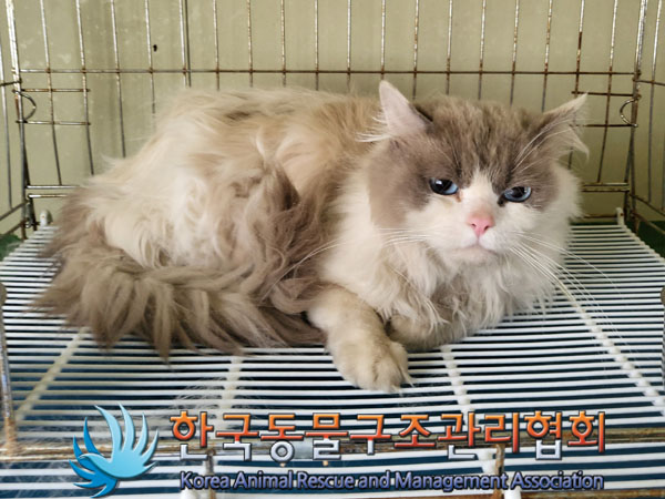 한국동물구조관리협회_411310202300158