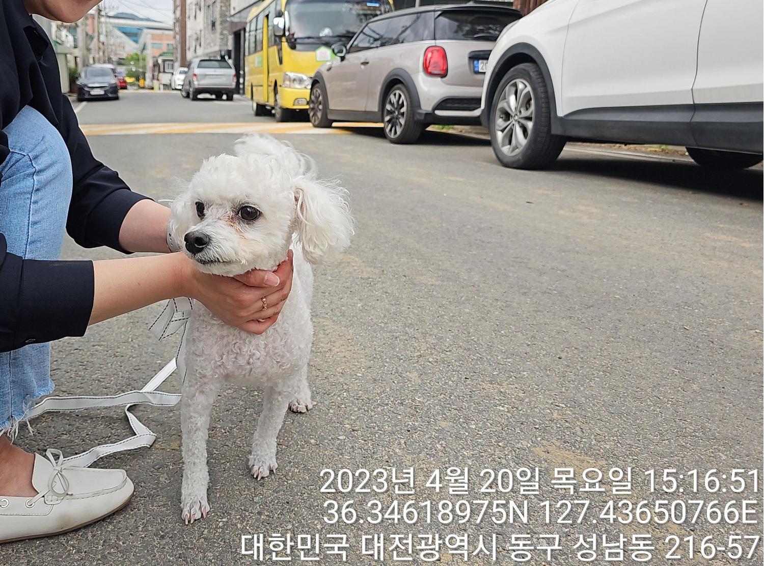 대전동물보호센터_430364202300122