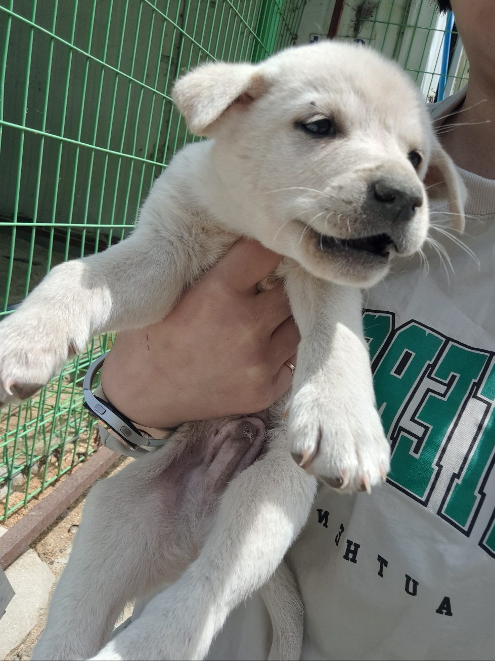 울산유기동물보호센터_431373202300394