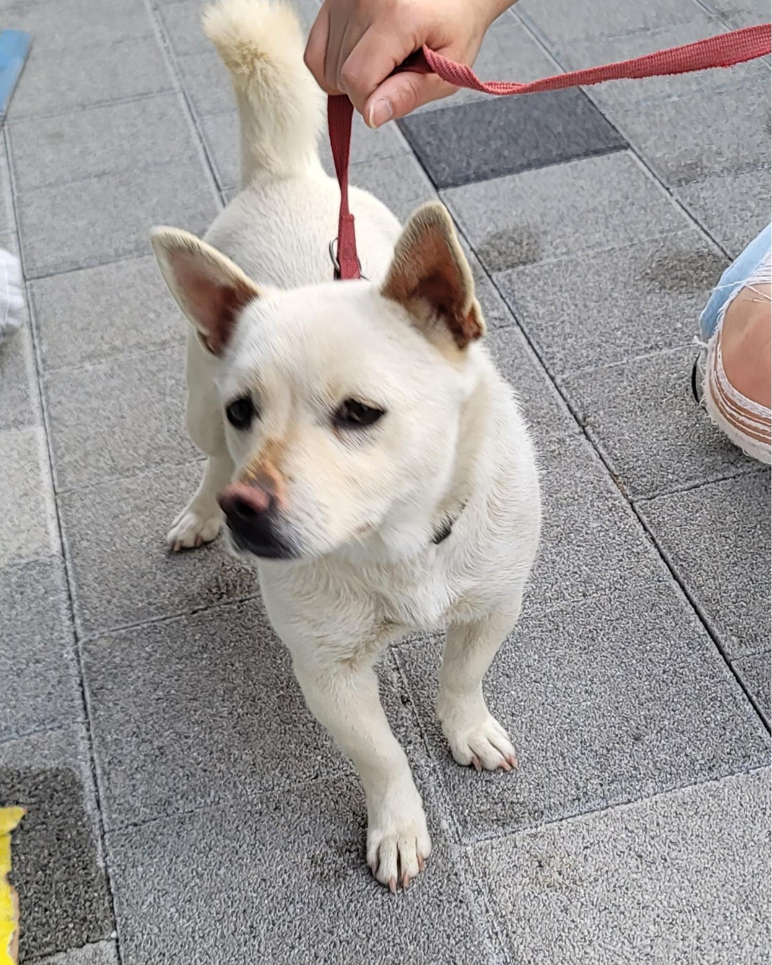 종합축산_447512202300262