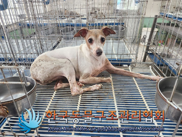 한국동물구조관리협회_411310202300159