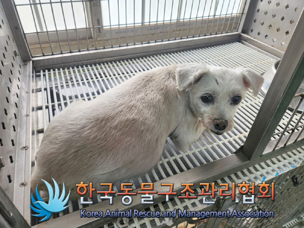 한국동물구조관리협회_441559202300333