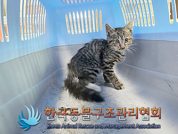 한국동물구조관리협회_411315202300282