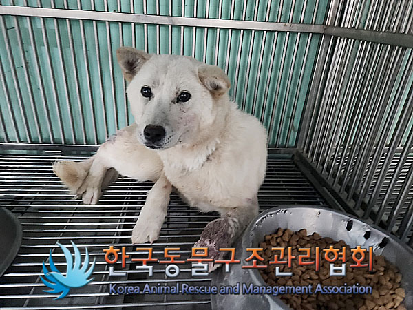한국동물구조관리협회_441414202300276