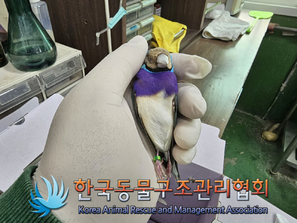 한국동물구조관리협회_411315202300283