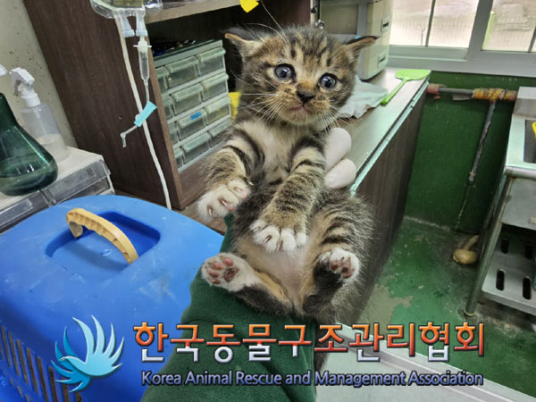 한국동물구조관리협회_411305202300166