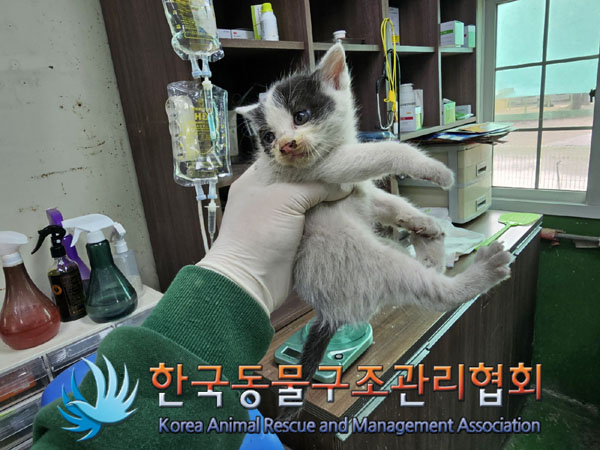 한국동물구조관리협회_411305202300164