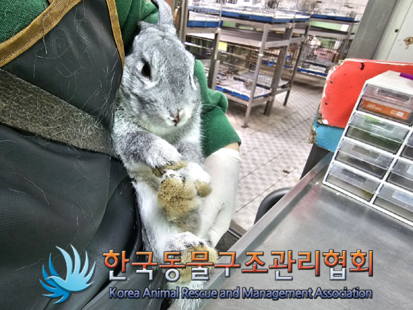 한국동물구조관리협회_411317202300081
