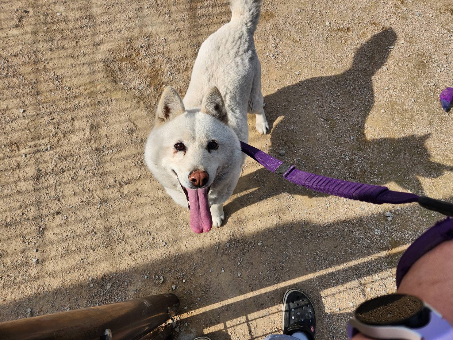 한국야생동물보호협회_441393202300628
