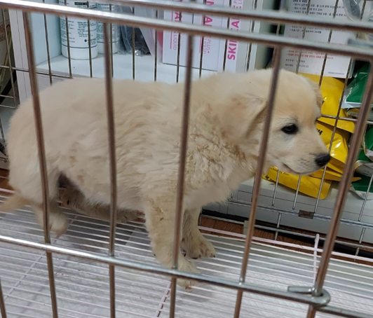 인월동물병원_445470202300377