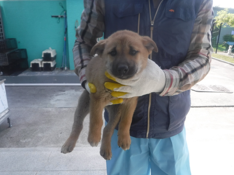 제주 동물보호센터_450650202301314
