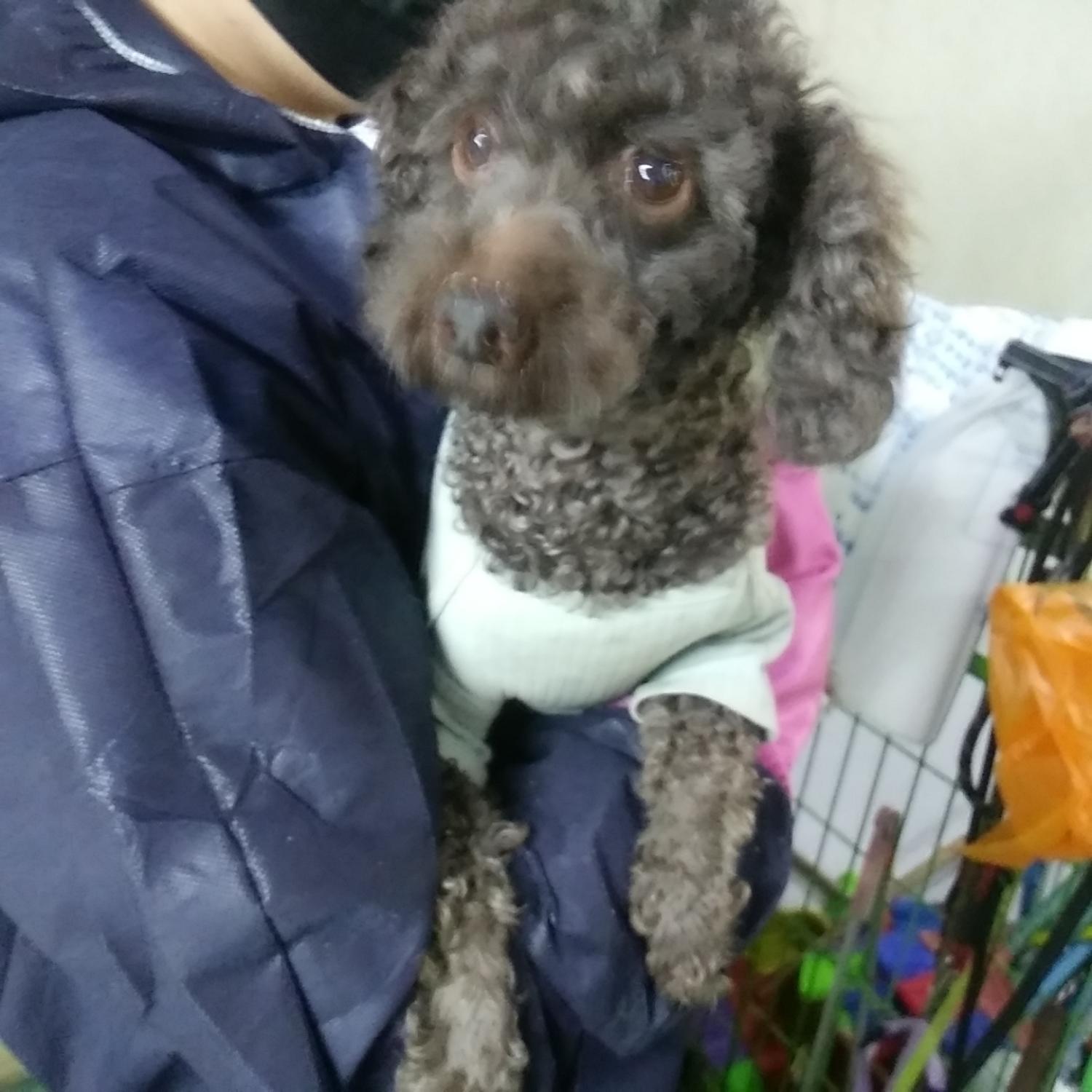 인천광역시수의사회_428352202300138