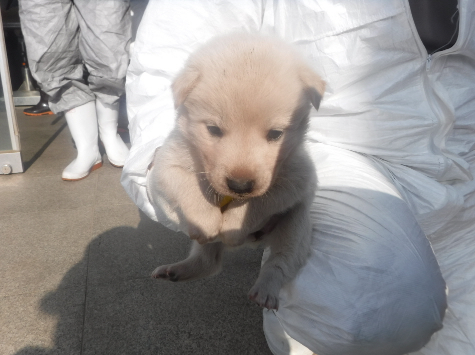제주 동물보호센터_450650202301333