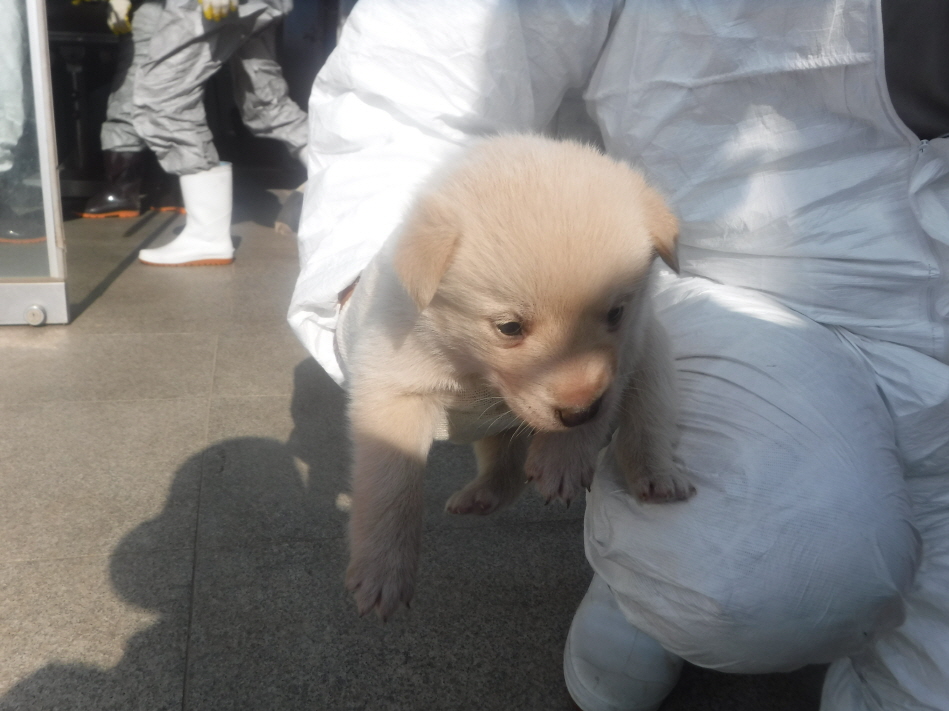 제주 동물보호센터_450650202301331