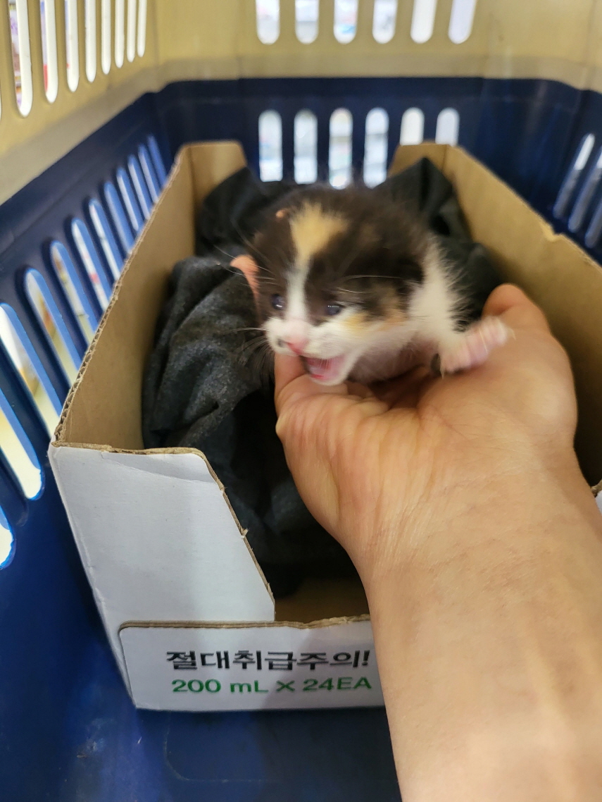 남산동물병원_411302202300197