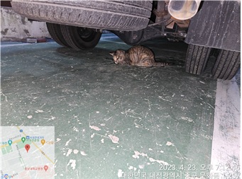 대전동물보호센터_430365202300159