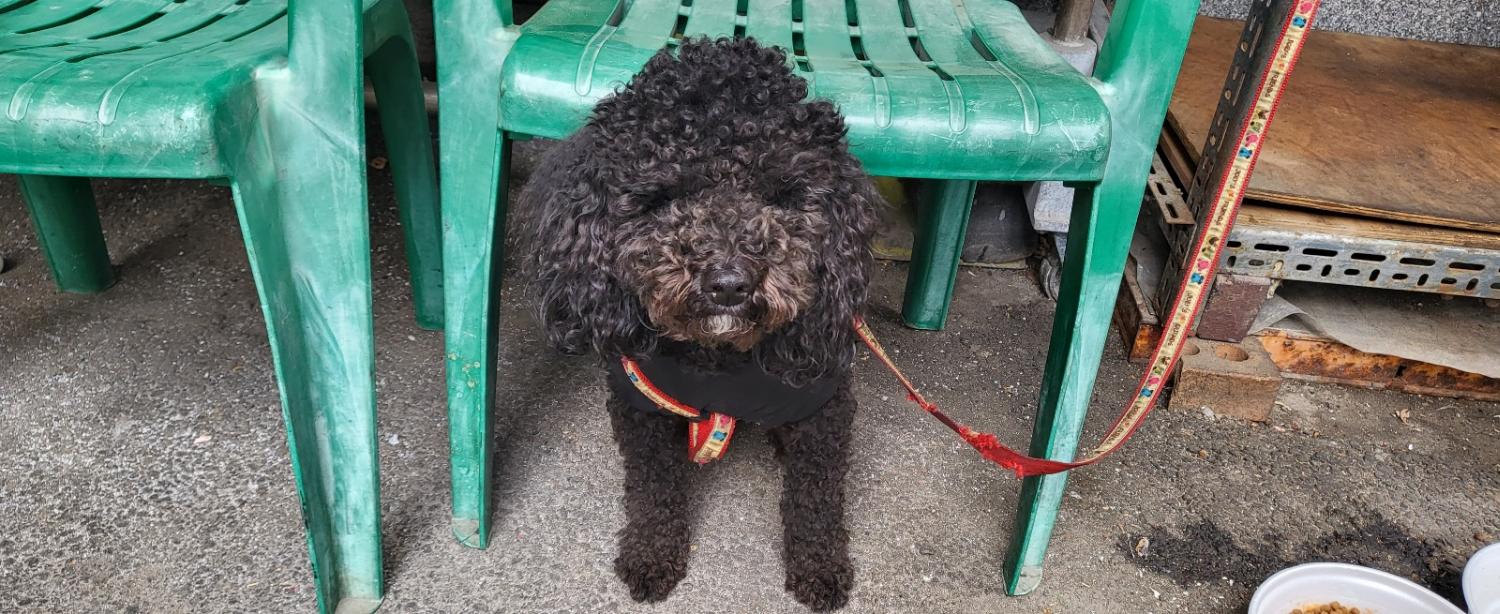 강동리본센터(reborn)_411324202300211