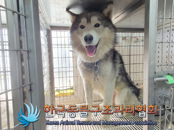 한국동물구조관리협회_441560202300364