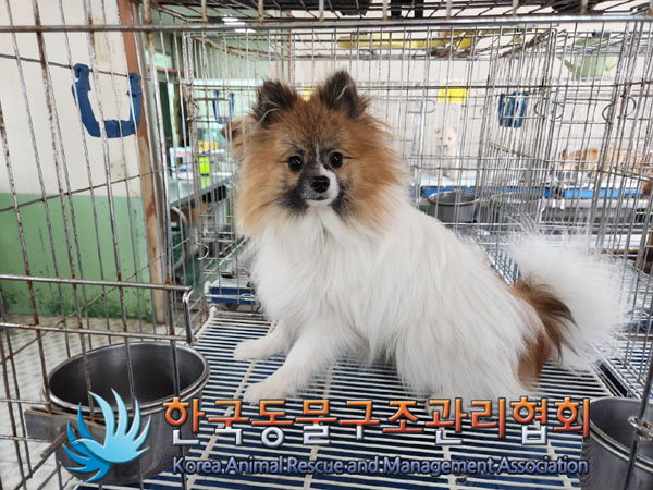 한국동물구조관리협회_411310202300163