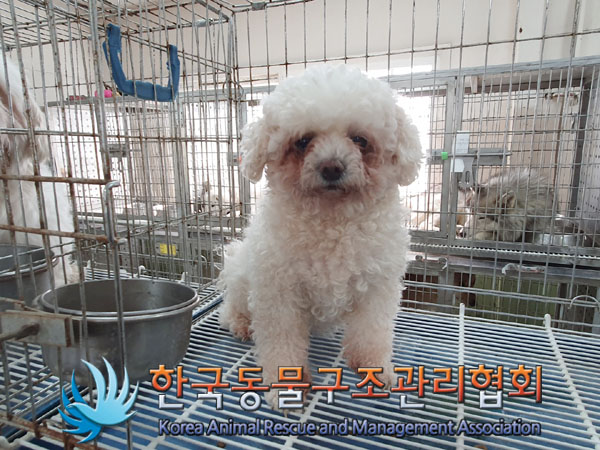 한국동물구조관리협회_441560202300367