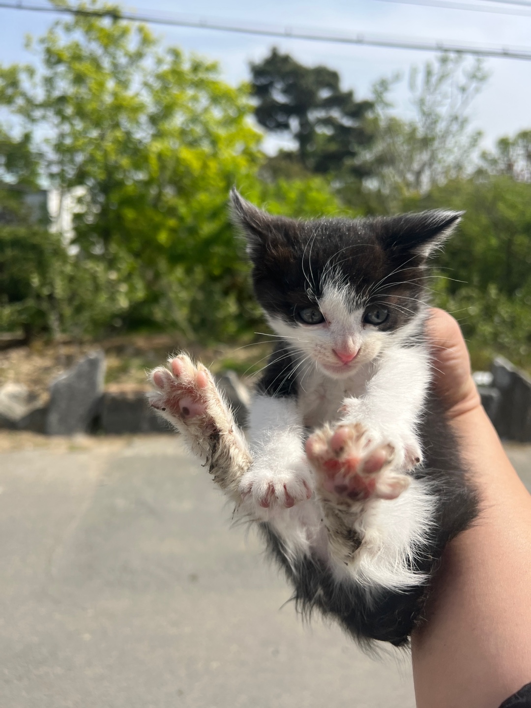 부산동물보호센터_426332202300121
