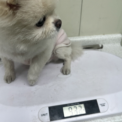 누리동물병원_426340202300084