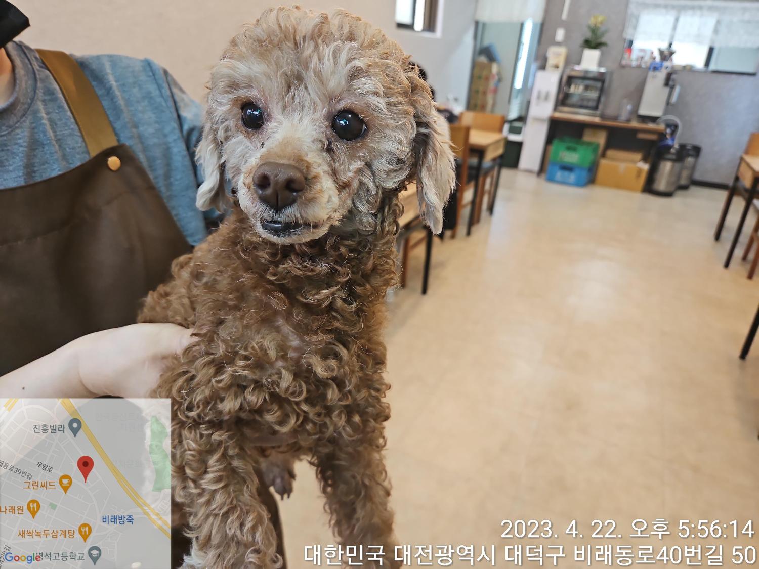 대전동물보호센터_430368202300236