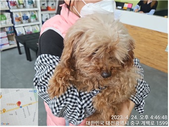 대전동물보호센터_430365202300160