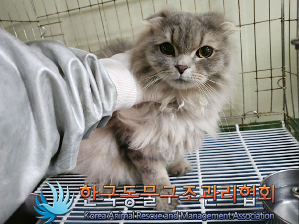 한국동물구조관리협회_441559202300339