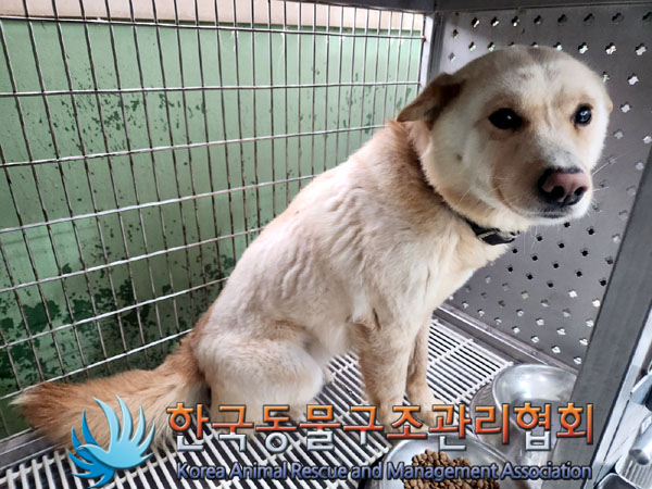 한국동물구조관리협회_441560202300369