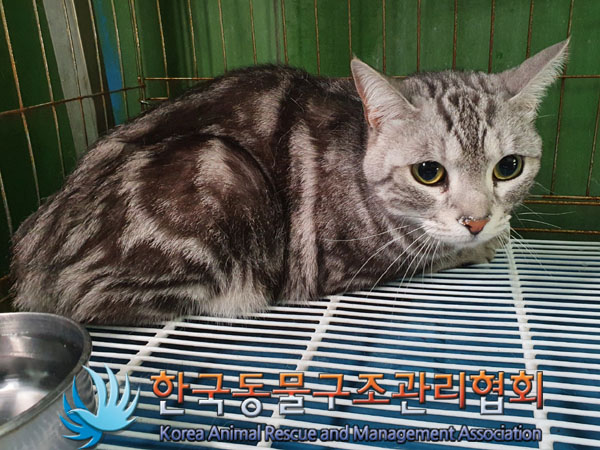한국동물구조관리협회_441559202300341